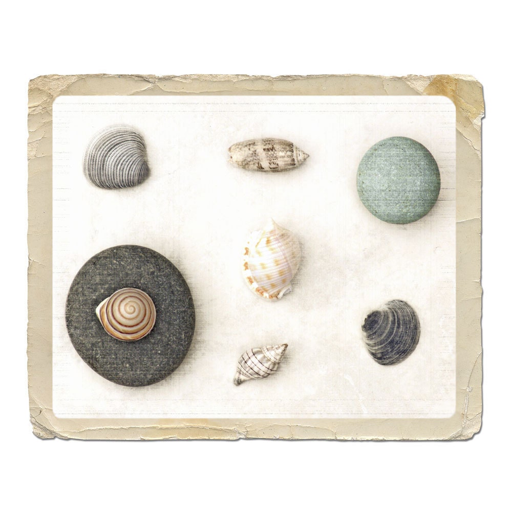 Beach Photograph Treasures -Seashells Collection Shells Sand Ocean Sea Rustic Nature Fine Art Vintage Style