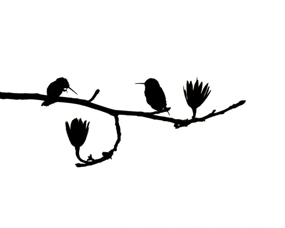 Hummingbird Art Nature Print  -Birds Black White Minimalist Silhouette Catherine Jeltes