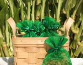 Green Cactus Handmade Sachet