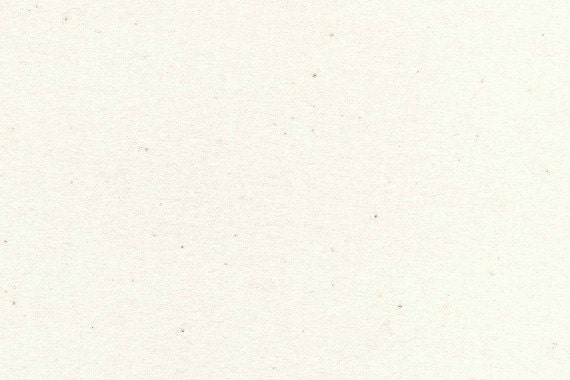 Custom Order for Gale-Organic Cotton European Flannel - 2 1/4 yards