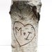 Sale, Collection of 5 birch bark vases/candle holders