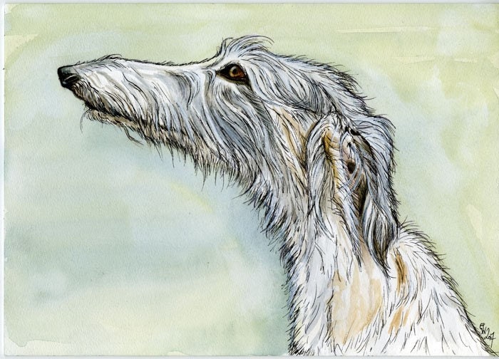 A Little Perfect - Lurcher Dog Art Print