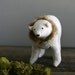 a not-quite-naked polar bear