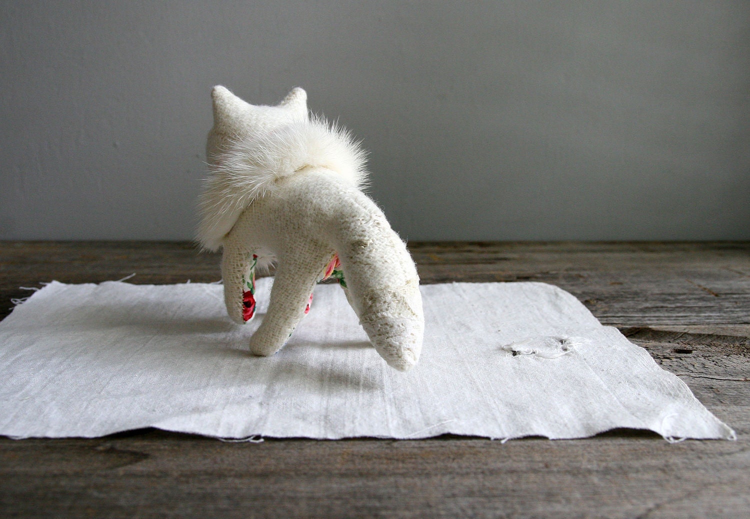 arctic fox