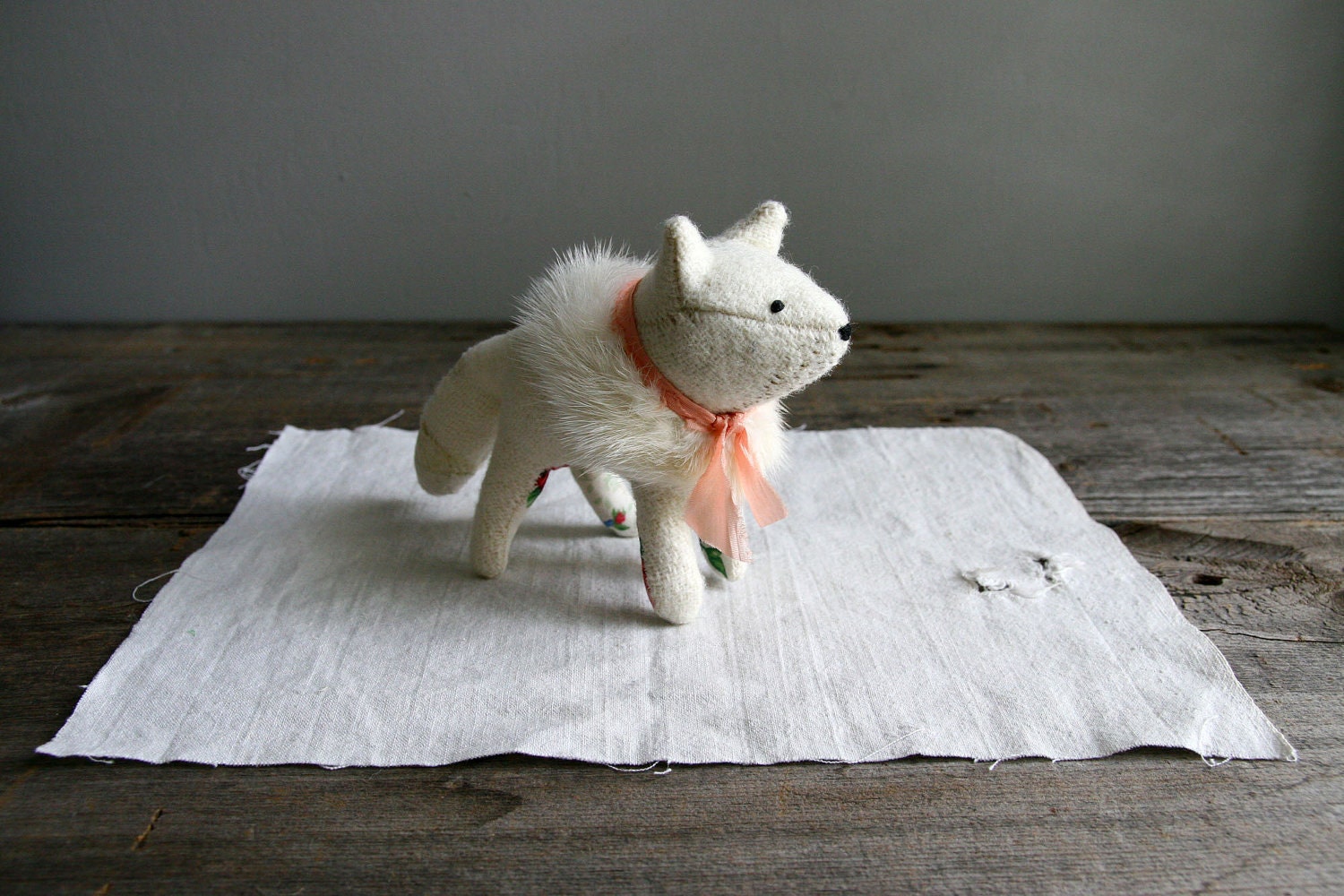 arctic fox