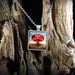 Magic Mushroom Shroom Tree Art Antique Bronze Pendant Necklace S-451