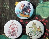 3 bottle openers - magnets