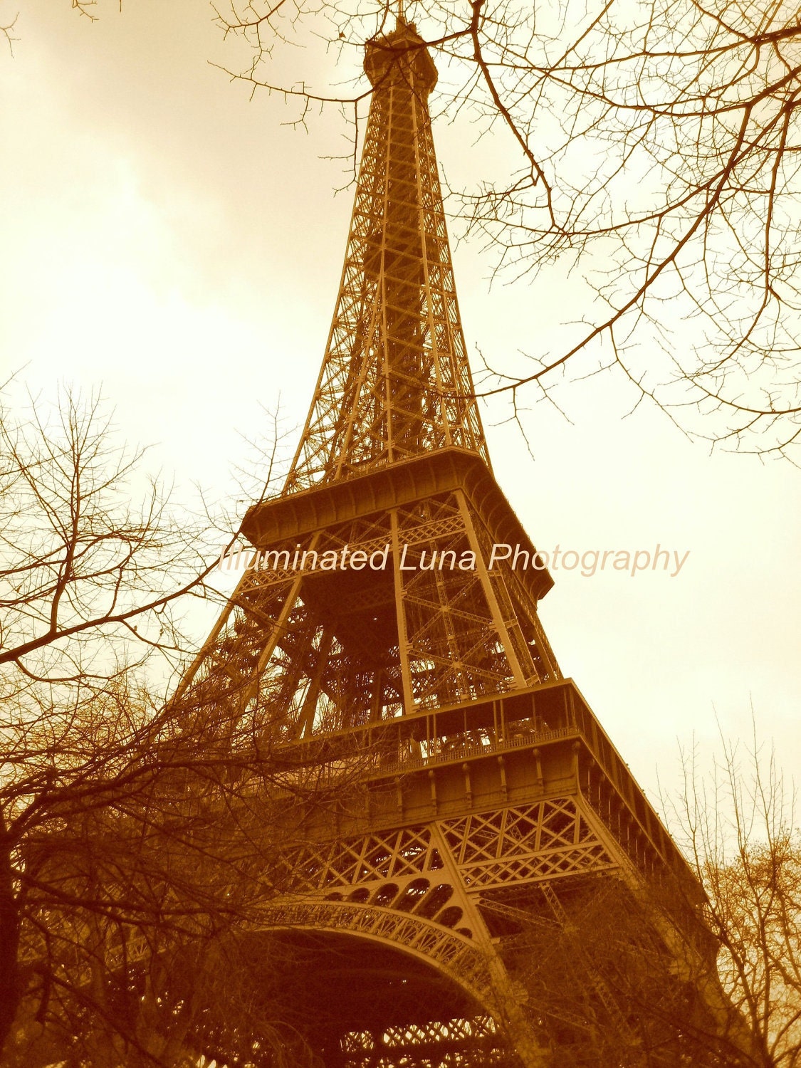 SALE Paris - Signed 11 x 14 Sepia Fine Art Travel Photograph, Eiffel Tower, Paris, Trees, Europe, France by IlluminatedLuna