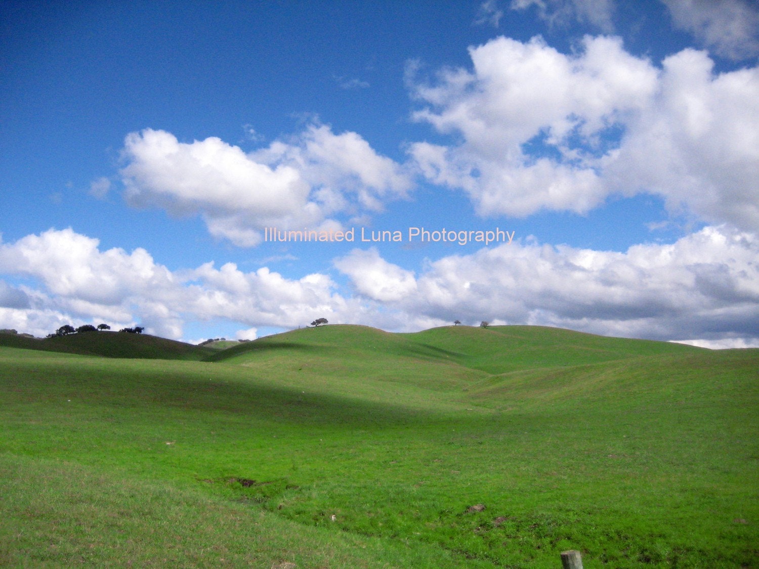 california rolling hills