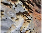 Porous Rock (8x8 photograph)