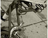 I Want to Ride my Bicycle in Sepia (8x10 photograph)