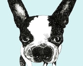 Boston Terrier - Dog Art Print