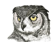 Owl Art Print - Just An Owl