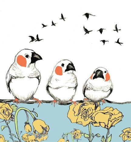 Bird Drawing - Birdie Talk - Bird Art Print