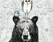 Bear Owl and Bird Illustration - Three's A Crowd