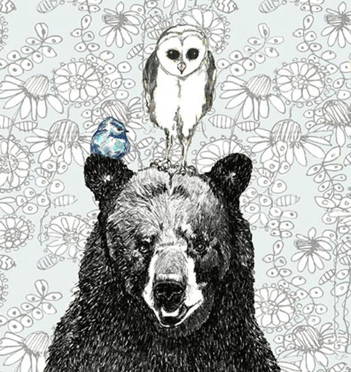 Bear Owl and Bird Illustration - Three's A Crowd