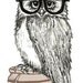 Party Owl Illustration