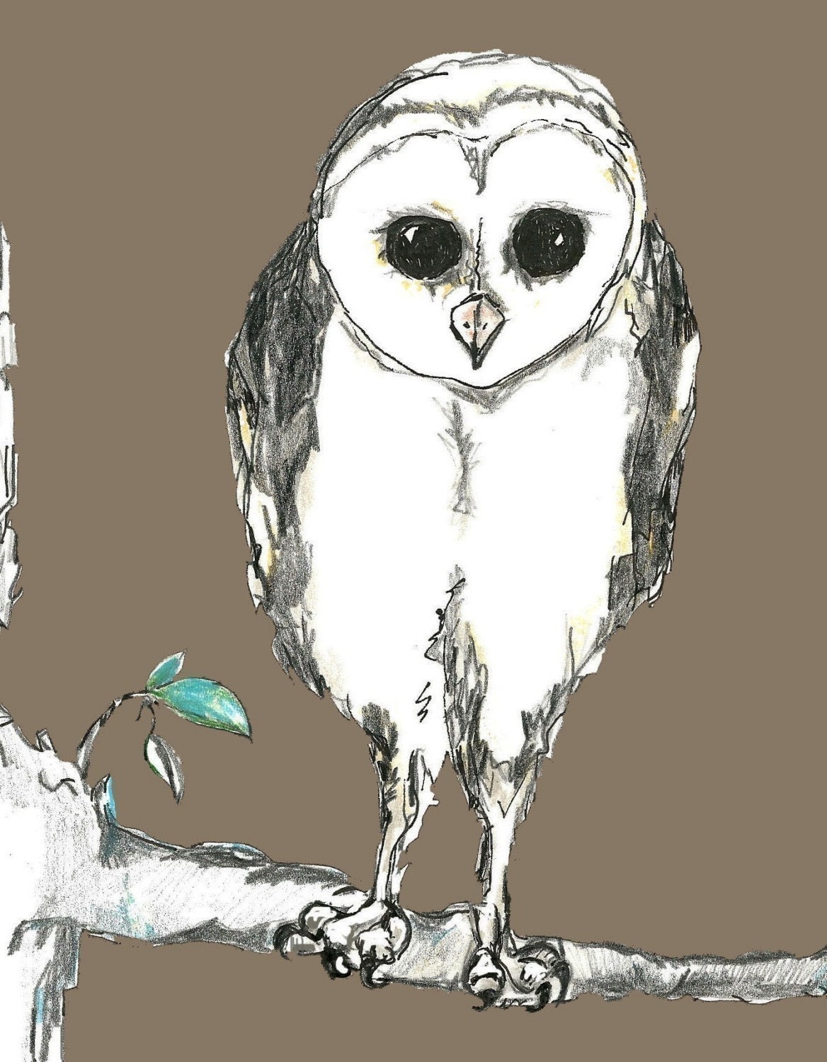 Owl on a Limb Art Print - Owl Art