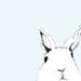 White Rabbit Art Print - Where's Alice - Rabbit Art
