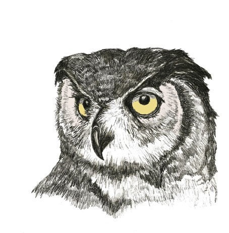 Owl Art Print - Just An Owl