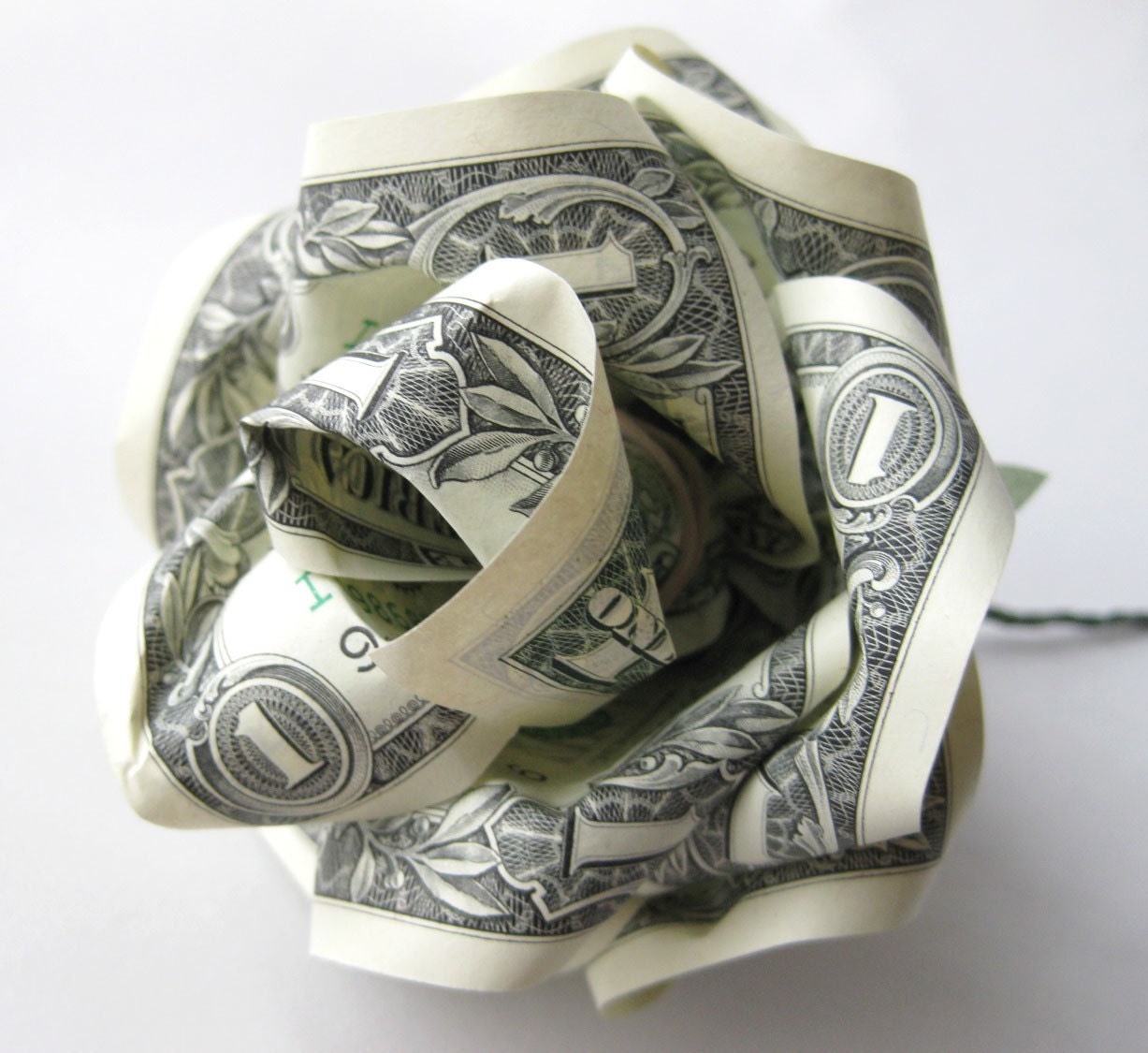 Money Rose - 5 Dollars Ready to Spend