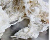 TUSSAH SILK SLUBS, 50 g, natural white