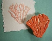 Coral Rubber Stamp Hand Carved