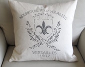 Fleur De Lis  pillow cover 20x20 WITH INSERT