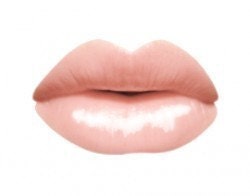All Natural Mineral Lip Gloss in AURA  Nude Pink Lip Gloss  Goddess Glaze (tm)