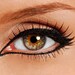 Mineral Makeup Liquid Eyeliner in INTENSE BLACK  Natural and Organic ingredients Easy to apply with felt tip applicator