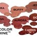 On Sale All Natural Mineral Lipstick Rx Color & Shine You Choose Three Colors Lipstick/Lip gloss in one Organic Mineral Makeup