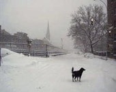 Alone on Hicks Street-Photo Print