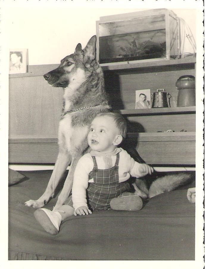 My dog vintage french black and white photographie 1959