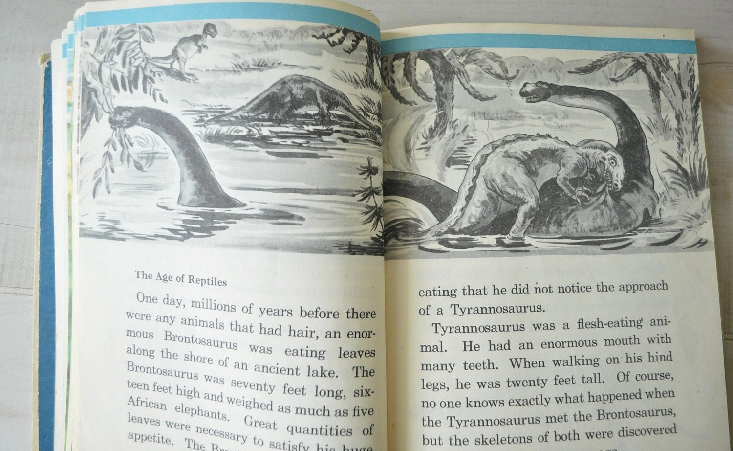 1940s vintage pair of childrens Science Books--The Wonderworld of Science...