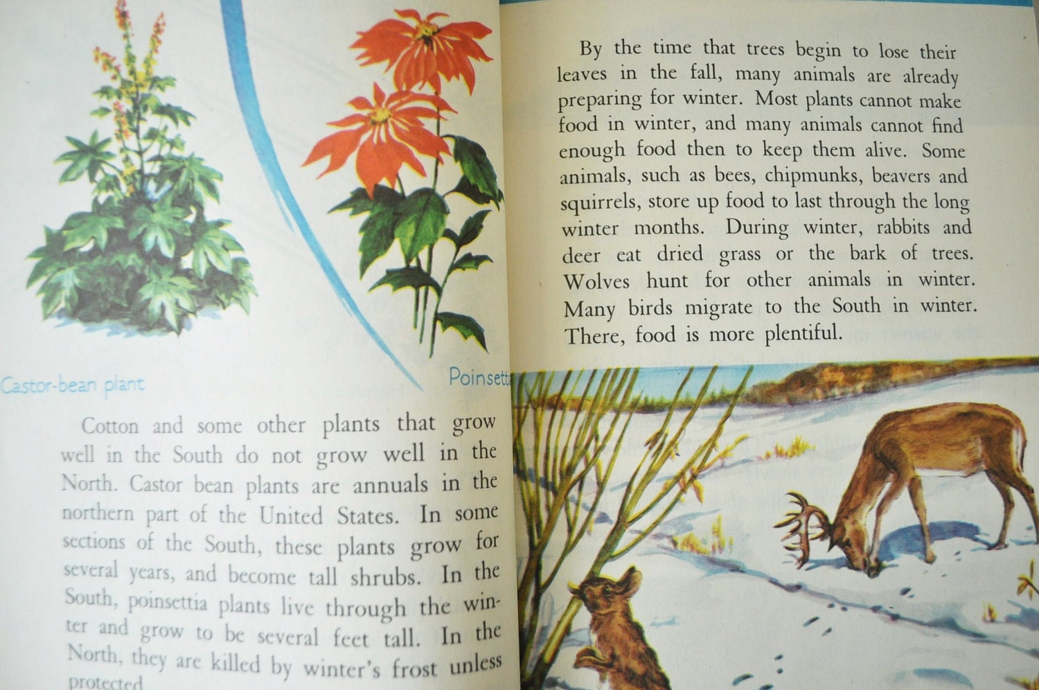1940s vintage pair of childrens Science Books--The Wonderworld of Science...