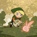 Hyrule Fairy-Catching