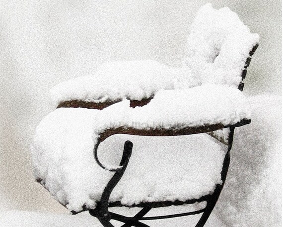 Snow on Garden Chairs. White Winter Cushions For a  Cool Lounge. Wicker Chair, Teak & Black Iron. Soft Grays, Warm Naturals. Print 12x16