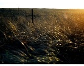 SALE- New Year's Sunset photography note card - limited edition