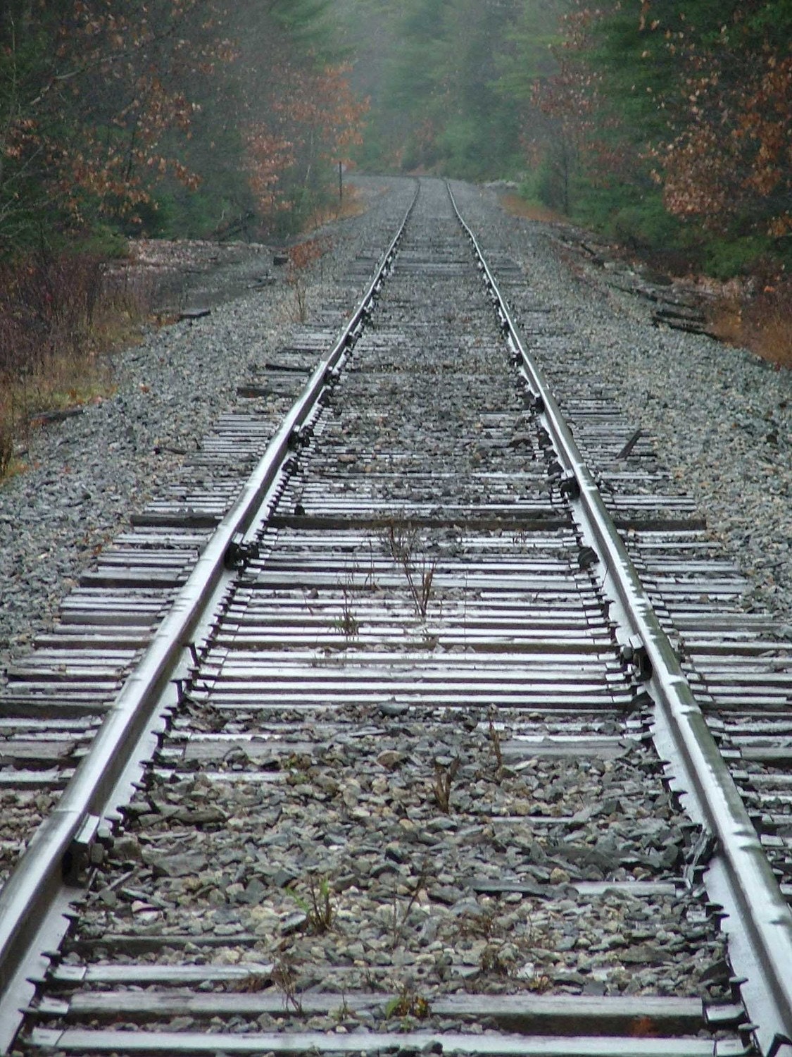 SALE- Autumn Railroad archival photography print 4 x 6 inch