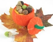 Felted Treasure Pumpkin Craft Kit Sale