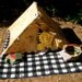 Collapsible Play Tent Autumn Birds FREE U.S.A. SHIPPING