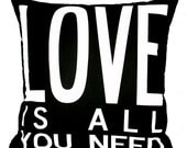 LOVE is all you Need- Valentine's Day Sale-Eco-friendly 20x20 Pillow in your choice of color