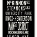 AUSTIN-Texas-Gallery-Wrapped Subway Art Canvas, 22x42