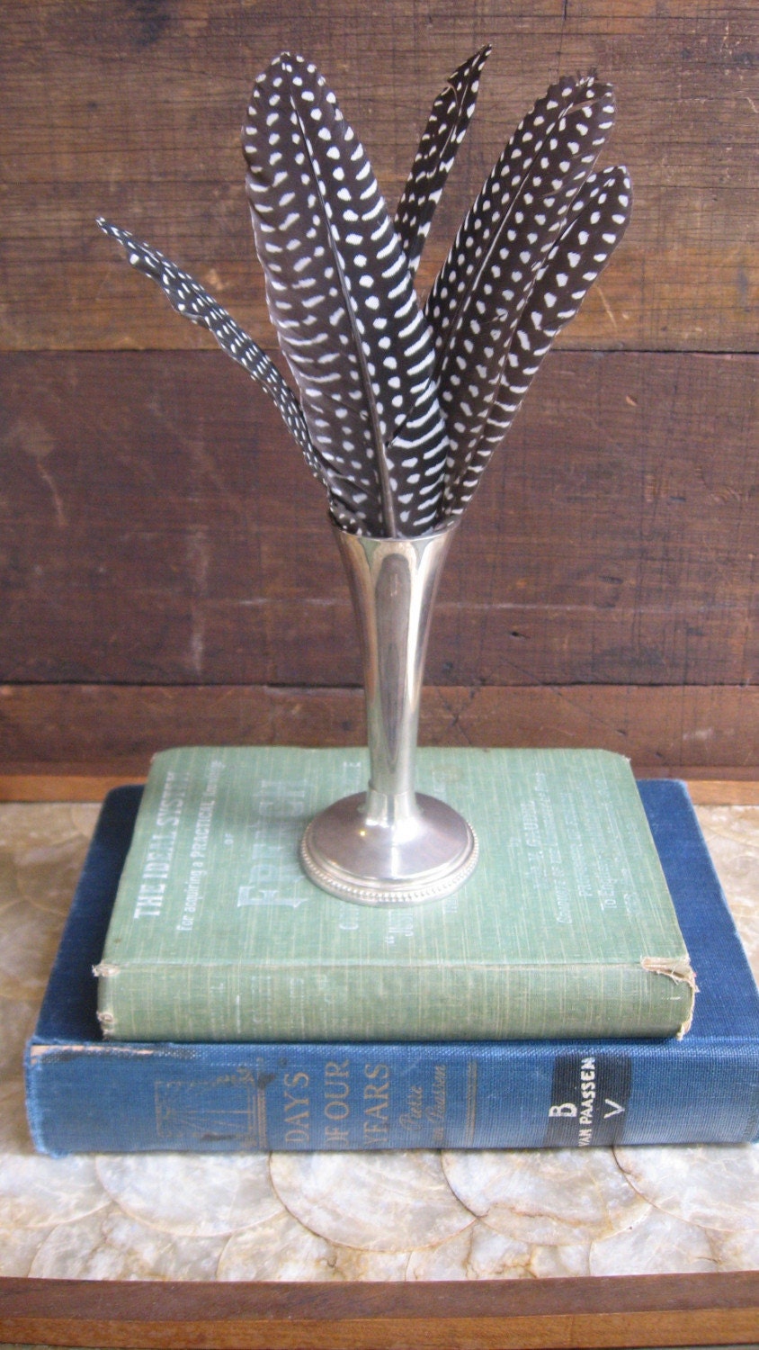 Vintage Silver Vase with Feathers