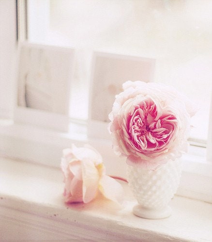 Je vois la vie en rose  (8x10 Fine Art Photograph) Beautiful English Roses With Polaroids In White Window