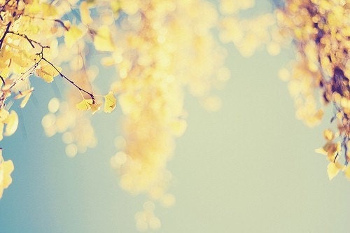 Print Collection  Your Choice  ( Set of Nine 4x4 or 4x6 Original Fine Art Photographs) Set