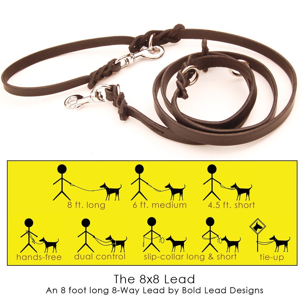 8x8 in BLACK -- an 8 ft. L-O-N-G 8-Way multi-functional leather dog lead
