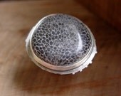 Sterling Silver Ring with Fossilized Coral