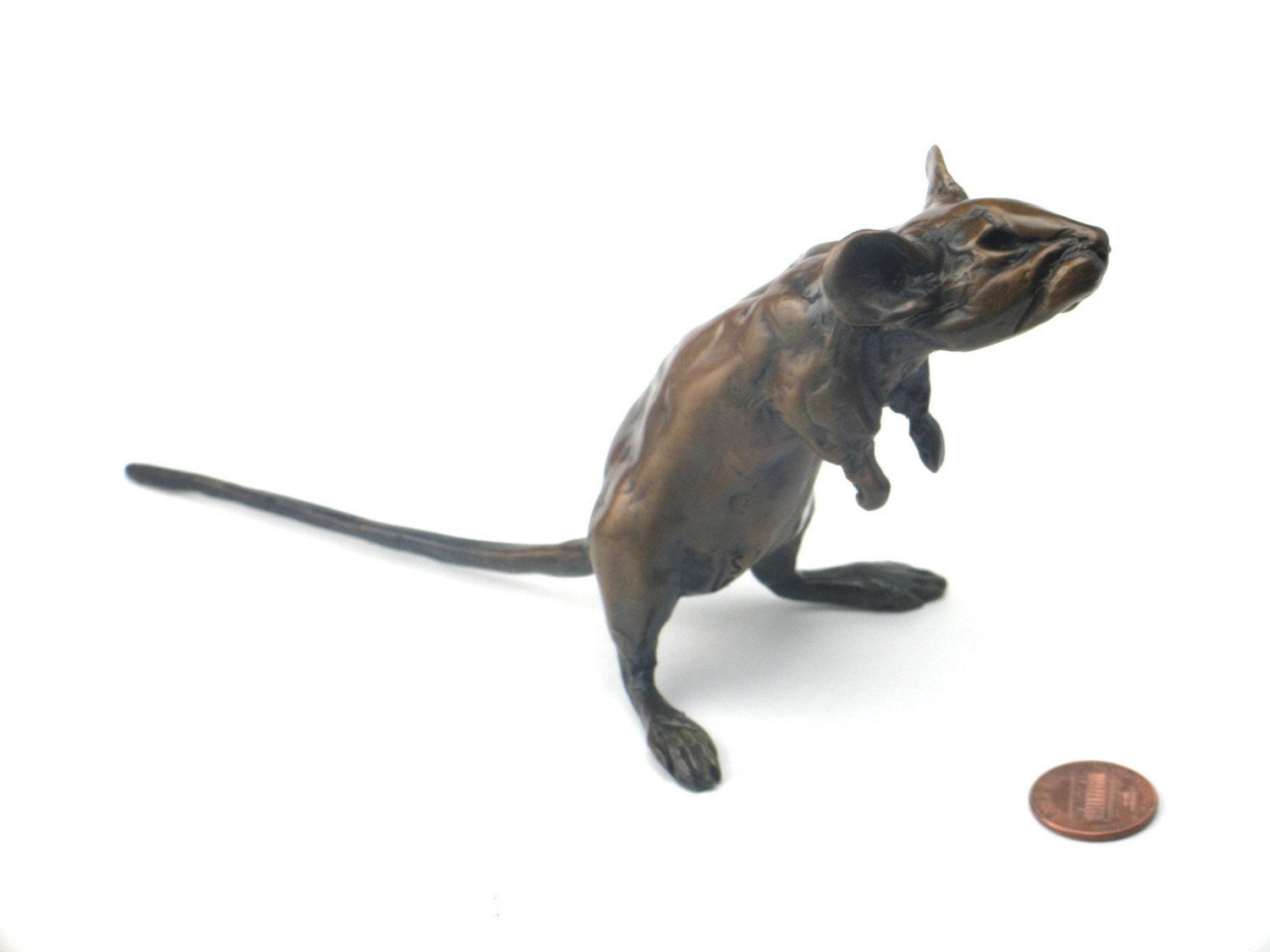 Bronze Mouse