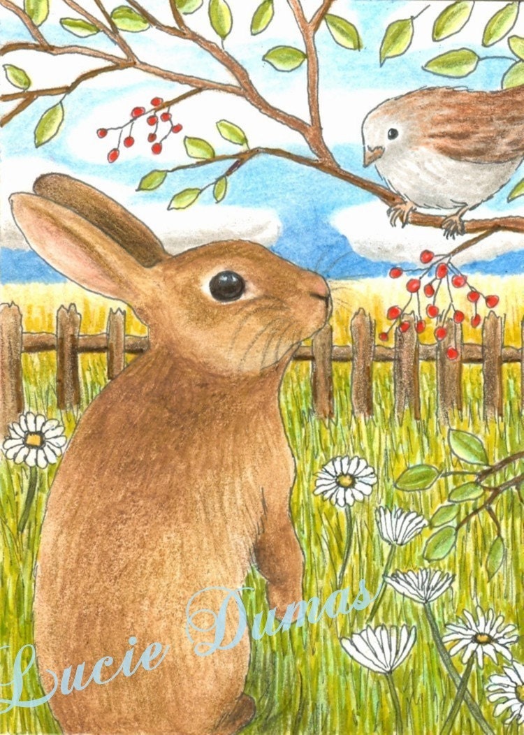 ACEO art print LE Hare 26 bunny rabbit, bird by Lucie Dumas